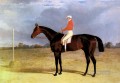 Un caballo de carreras Dark Bay con Patrick Connolly Up Herring Snr John Frederick caballo de carreras